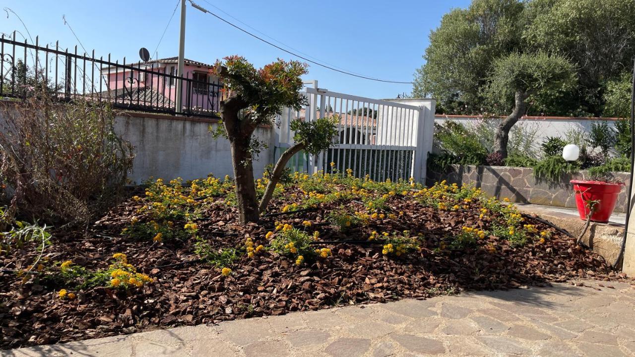 Sardegna - Casa Vacanze Saggio Olbia Esterno foto