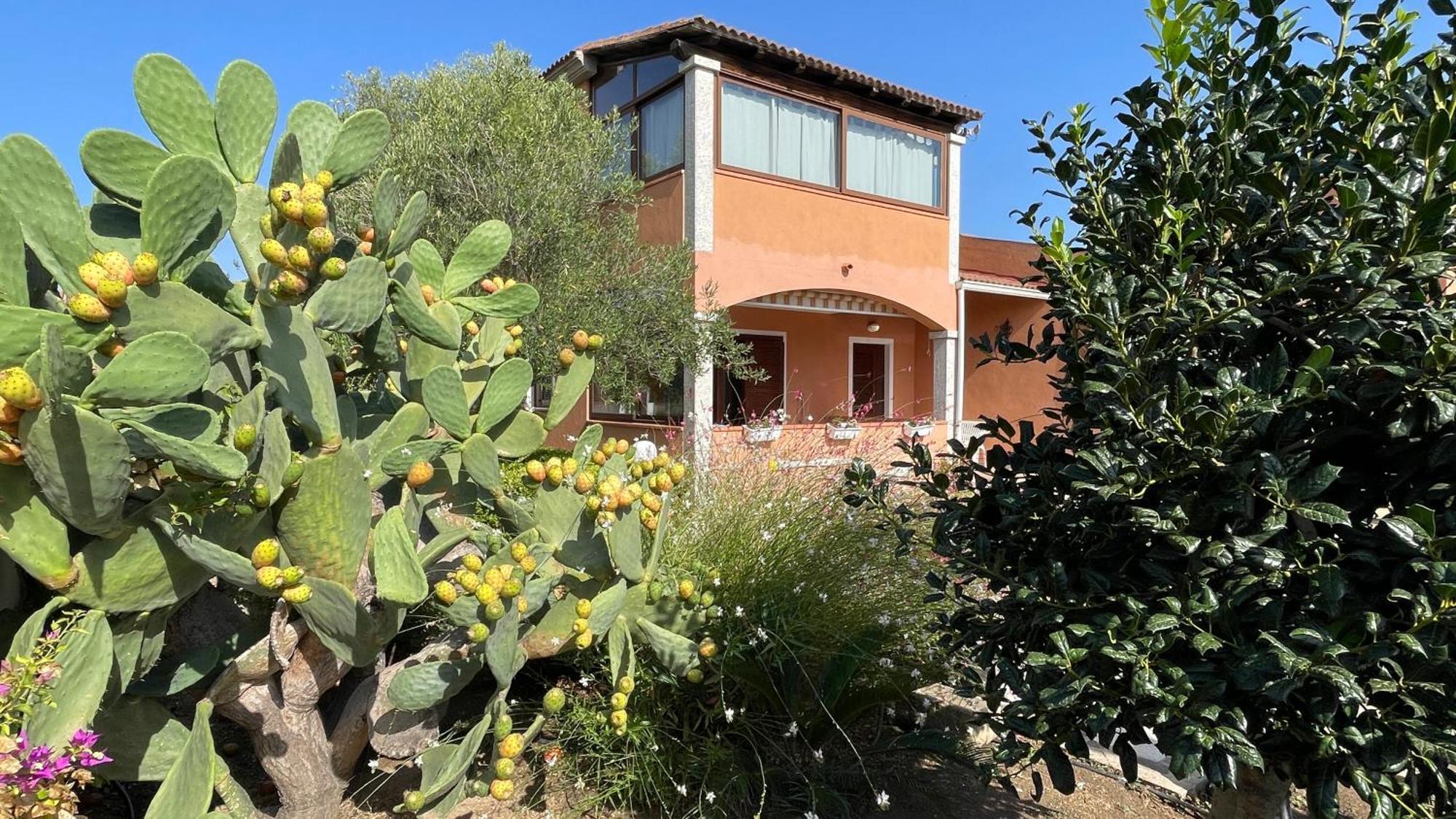 Sardegna - Casa Vacanze Saggio Olbia Esterno foto