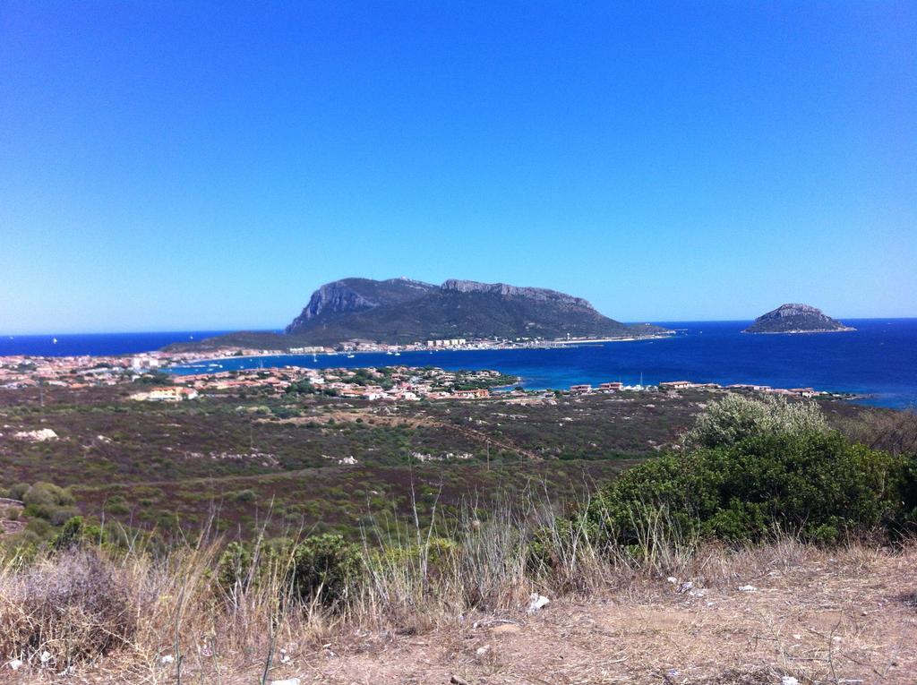 Sardegna - Casa Vacanze Saggio Olbia Esterno foto